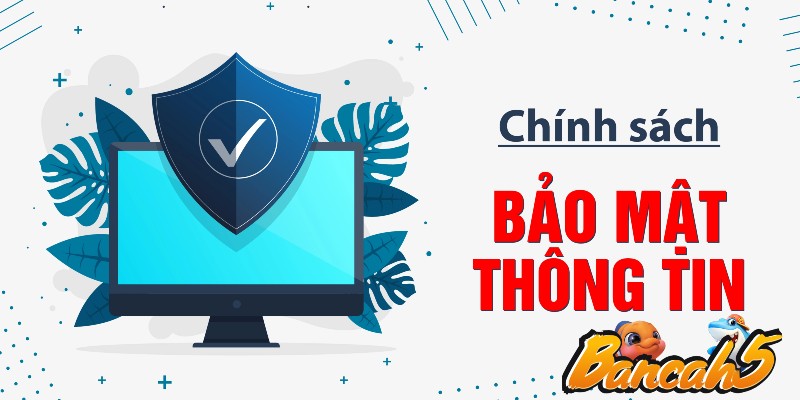 Chính sách của Bancah5 về bảo mật thông tin người dùng 