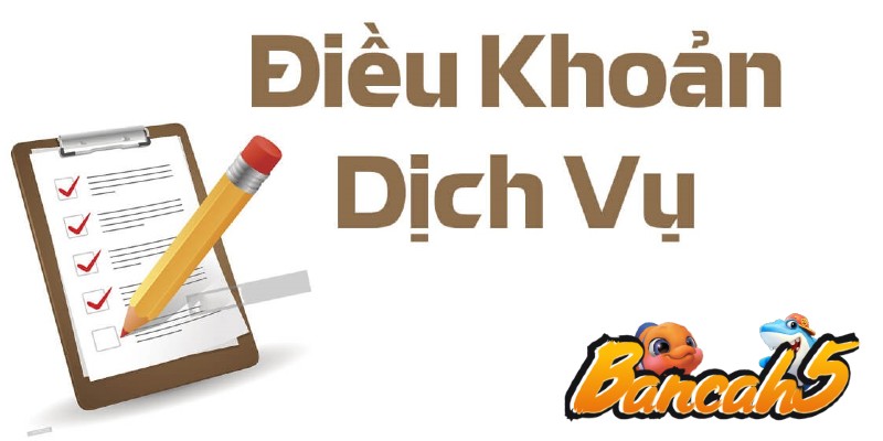 Điều khoản sử dụng dịch vụ của nhà cái