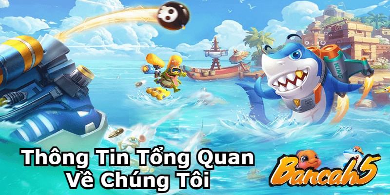 Tổng quan các thông tin liên quan đến nhà cái Bancah5 mà bạn cần biết