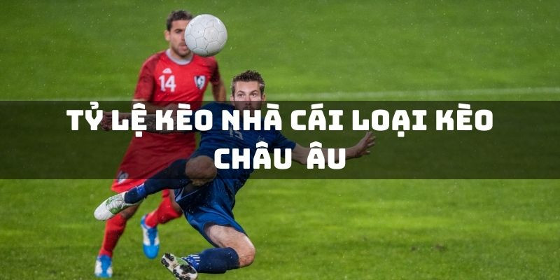 Những Tỷ Lệ Kèo Nhà Cái Bancah5 Phổ Biến